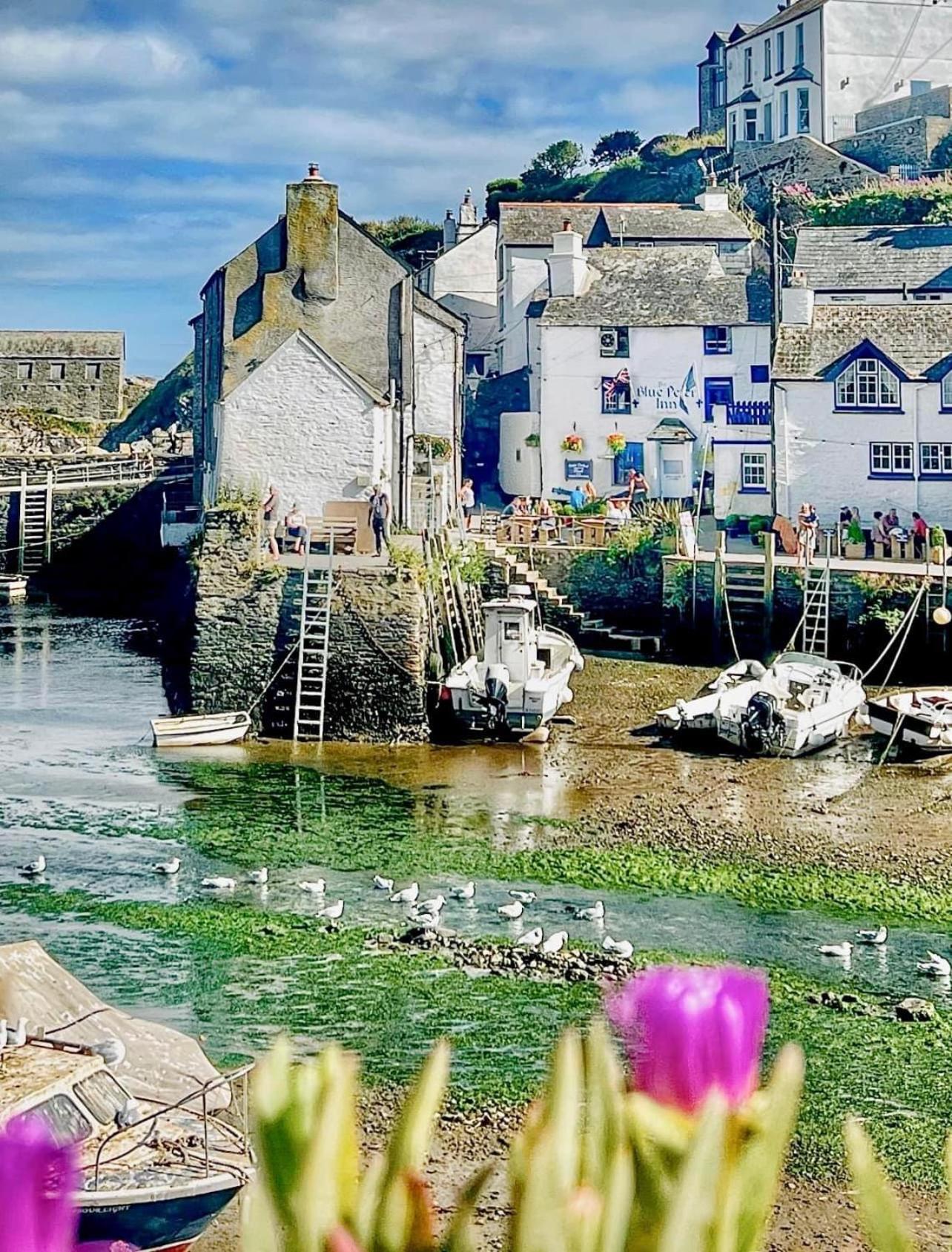 Cottage In Par, 4Mi. From Fowey Saint Blazey Kültér fotó
